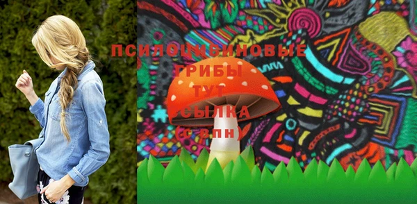 дмт Нея