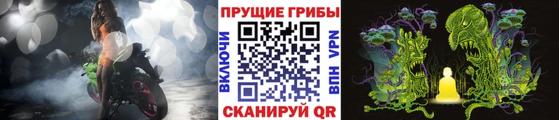 Псилоцибиновые грибы MAGIC MUSHROOMS  Любань 
