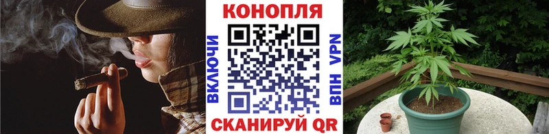 Каннабис семена  Любань 